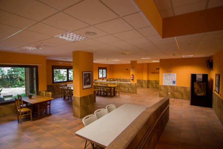 servicios